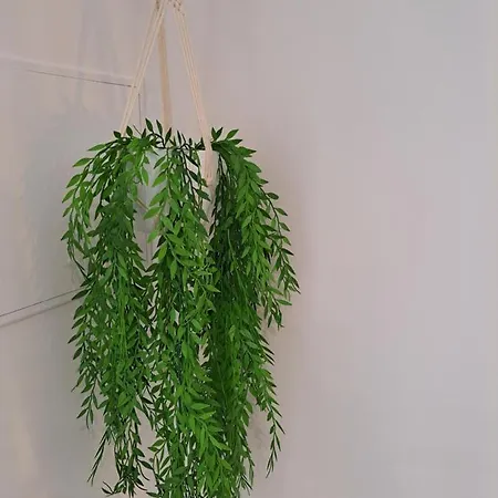 Lucas House Ferienhaus *