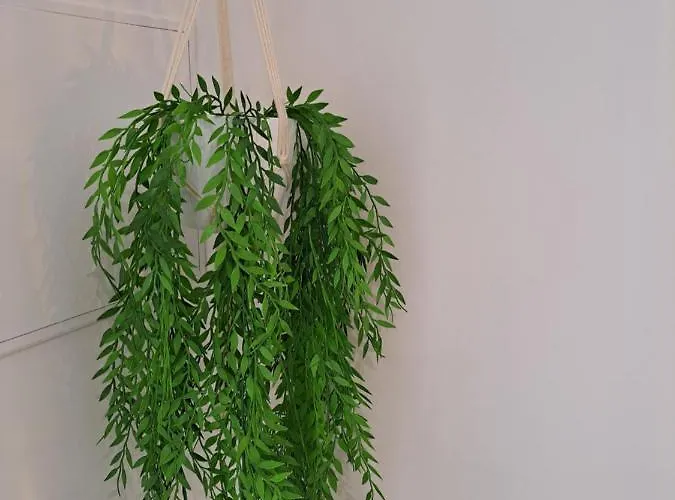 Lucas House Vakantiehuis *